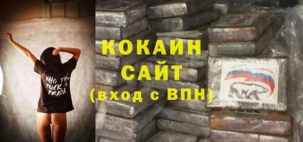 стафф Арсеньев