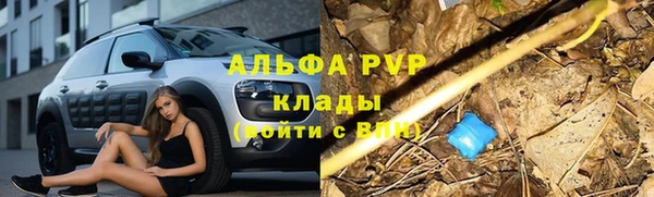 эйфоретик Армянск