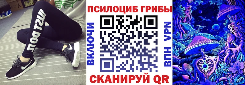Псилоцибиновые грибы прущие грибы  Губаха 